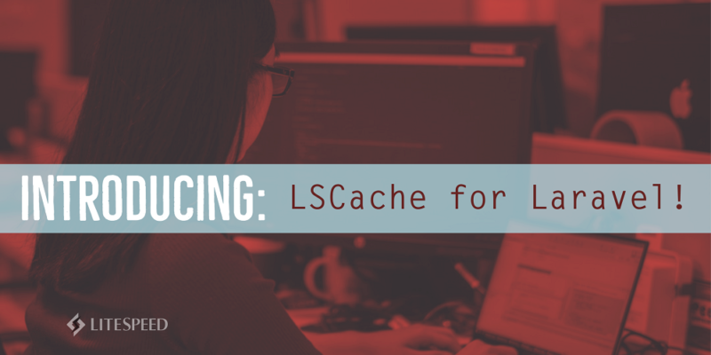 LSCache-for-Laravel